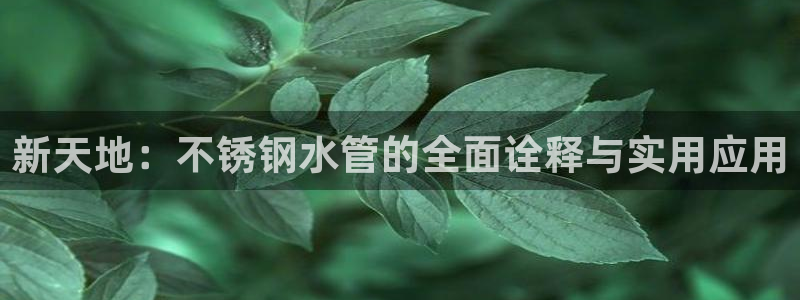 天辰娱乐游客