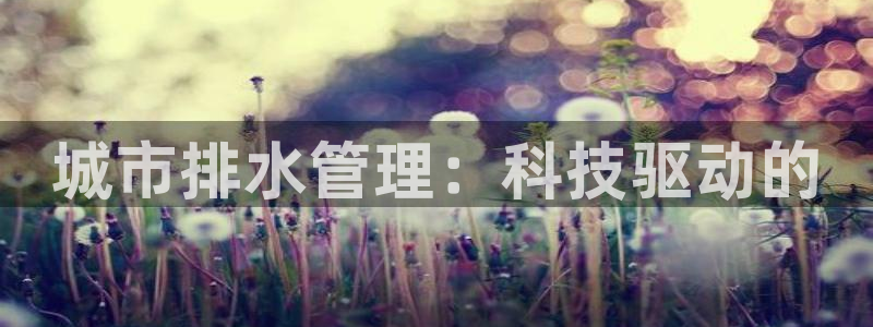天辰娱乐黑人