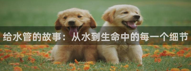 天辰娱乐会所