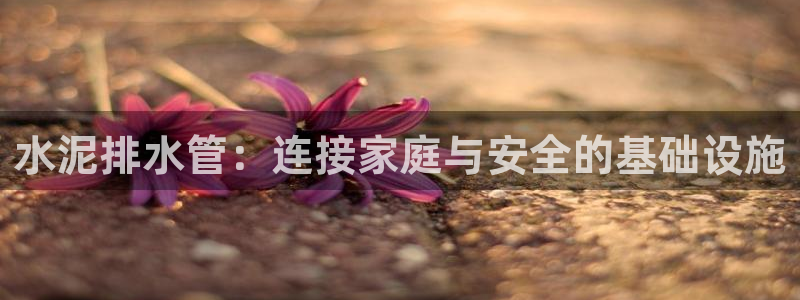 天辰天富娱乐