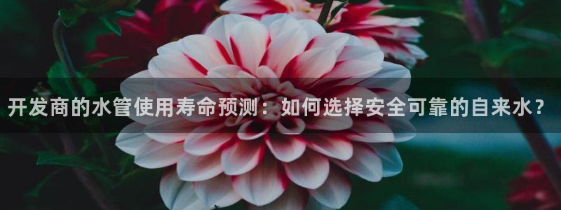 天辰娱乐赌博