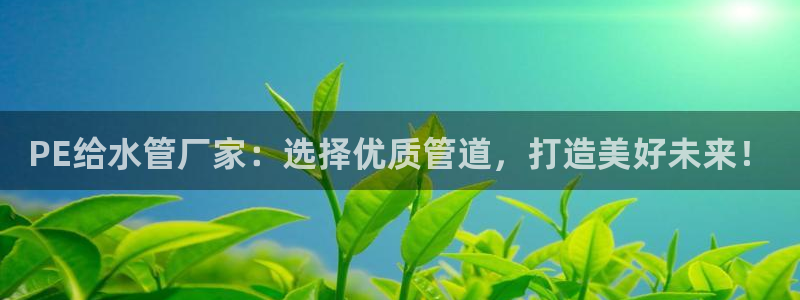 天辰娱乐酒店