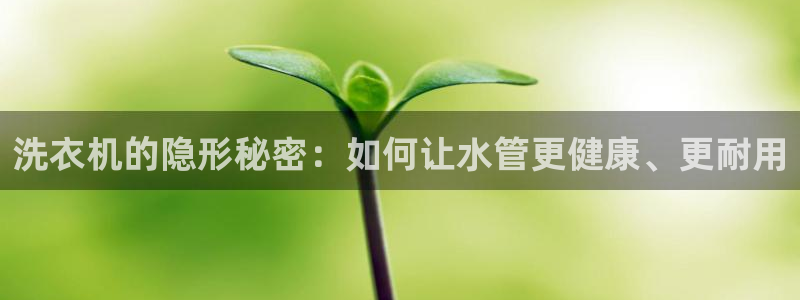 天辰娱乐代理