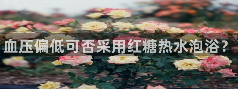 天辰娱乐网
