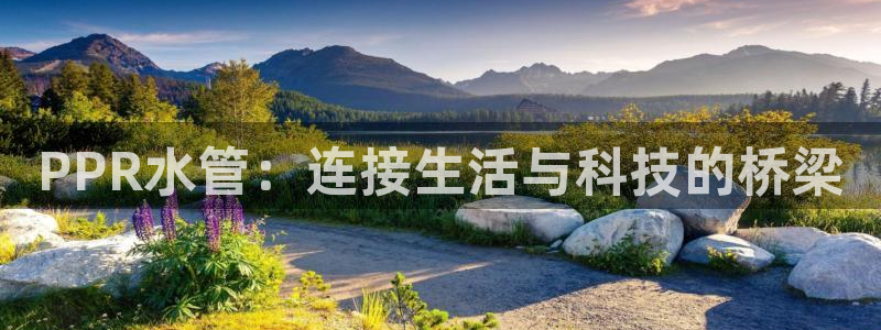 天辰彩票娱乐