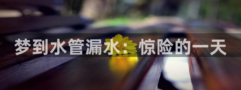 天辰说娱乐