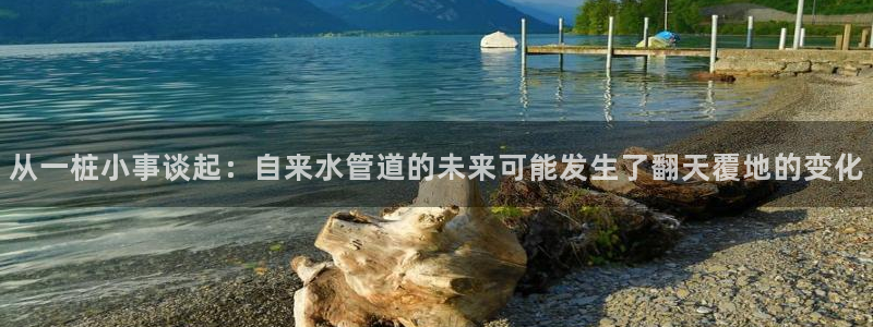 天辰娱乐黑人
