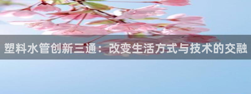 天辰娱乐台湾