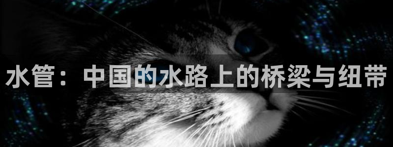 天辰娱乐国际