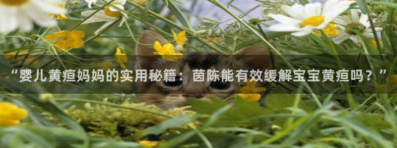 天辰娱乐728567