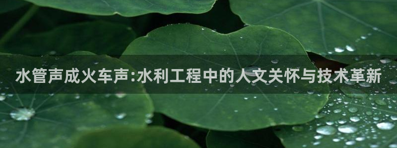 天辰娱乐直属