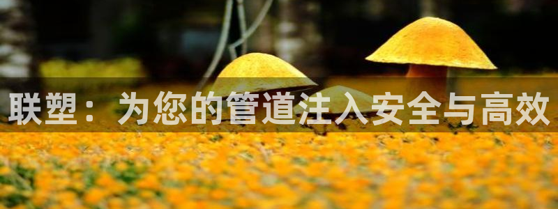 天辰团队贝高娱乐