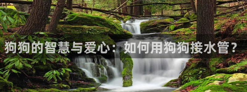 天辰娱乐国际
