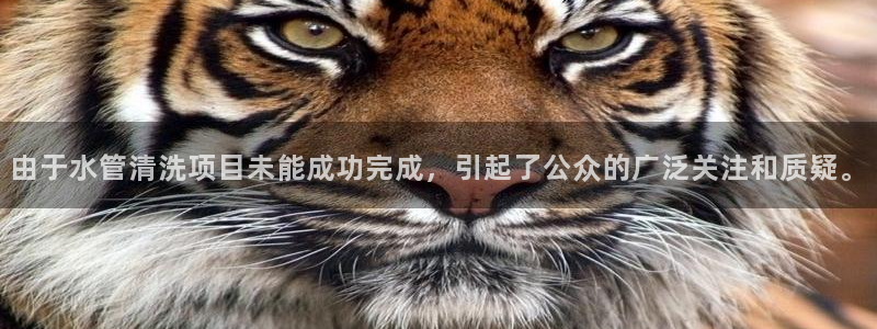 天辰娱乐 主管