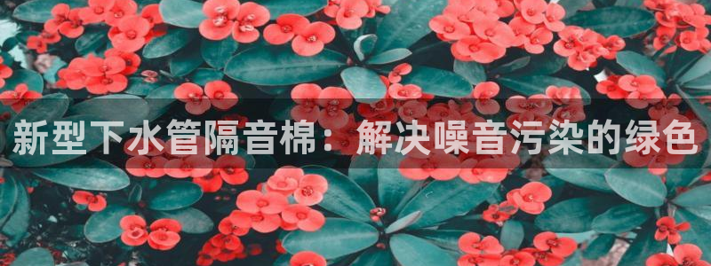 天辰天富娱乐登录