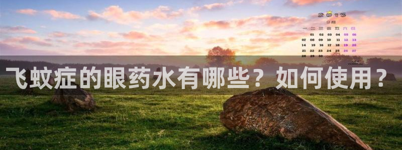 天辰娱乐上级