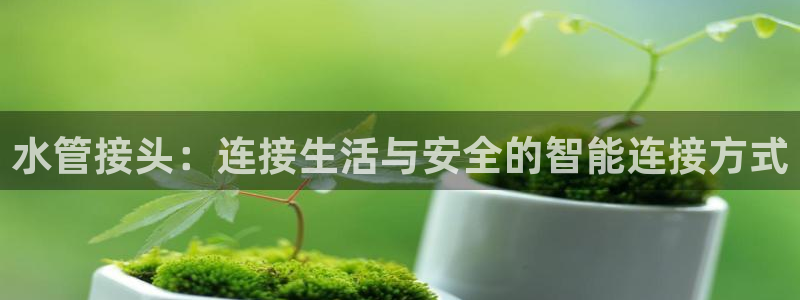 天辰娱乐44616