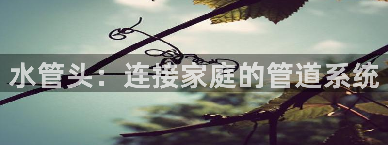 天辰娱乐登陆