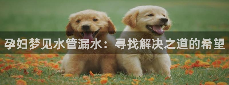 天辰娱乐957807