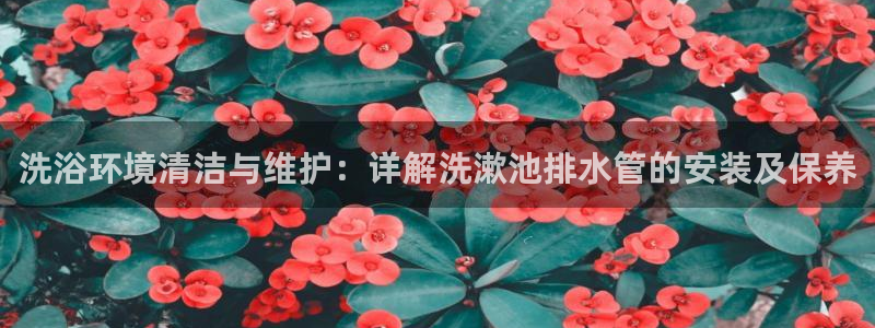 天辰娱乐ttf