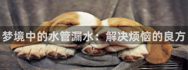 天辰娱乐在线登录注册