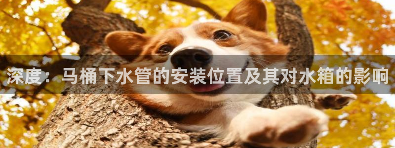 南京天辰娱乐