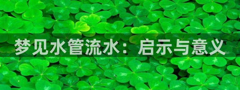 天辰娱乐app