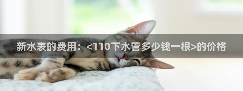 天辰娱乐平台地址在哪里
