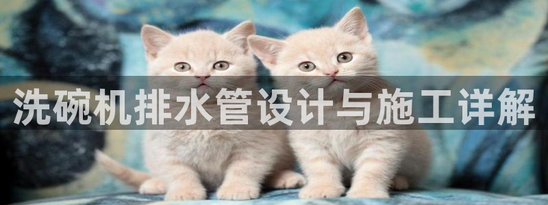 天辰app娱乐
