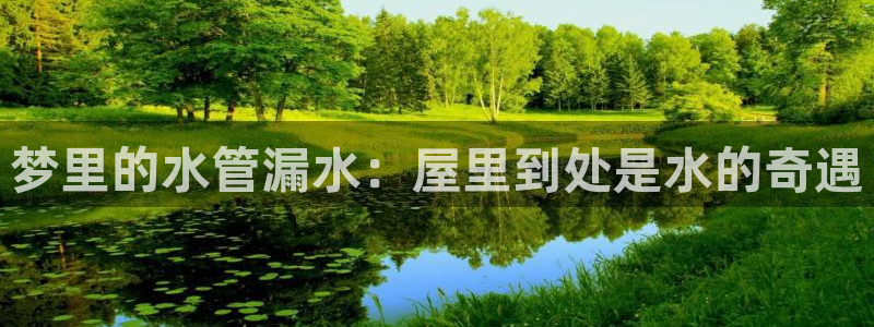 天辰娱乐1966