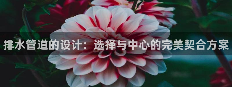 天辰娱乐官网