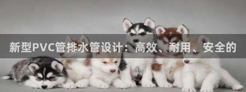 天辰娱乐 主管