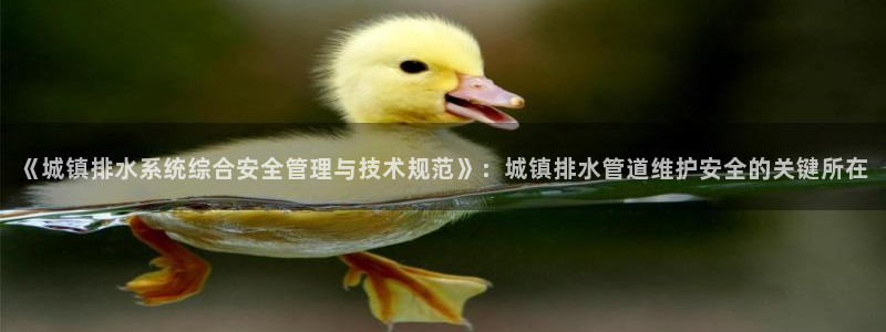 天辰娱乐赌博