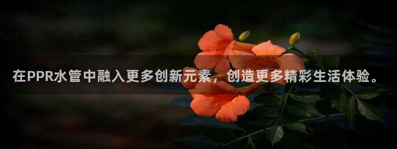 天辰娱乐 qq