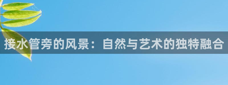 天辰娱乐44516