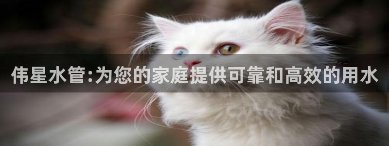 天辰娱乐上级