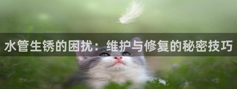 天辰娱乐维护