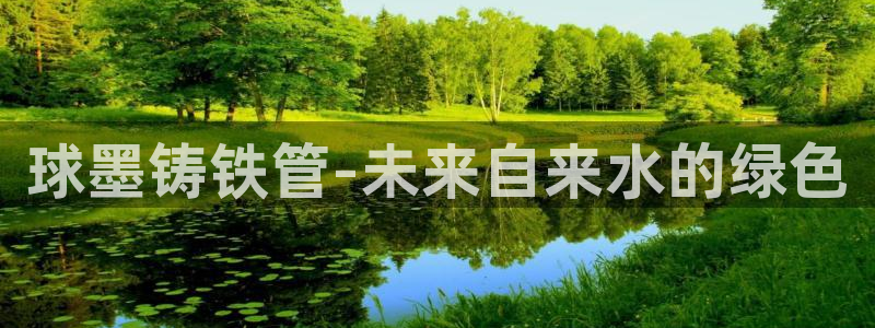天辰娱乐小姐