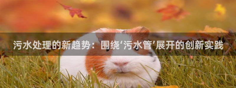 天辰娱乐60447