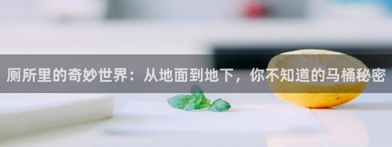天辰娱乐1980