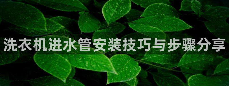 天辰娱乐-q