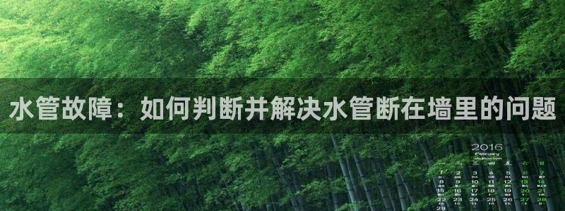 天辰娱乐481928