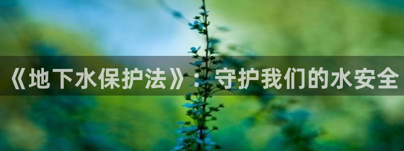天辰娱乐会员