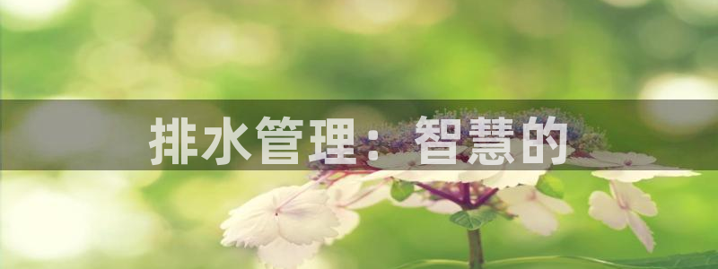 天辰娱乐44616