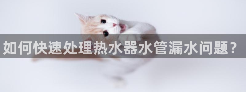集宁天辰娱乐