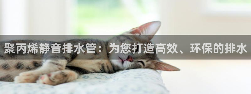 天辰娱乐测速