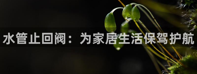 天辰娱乐卡