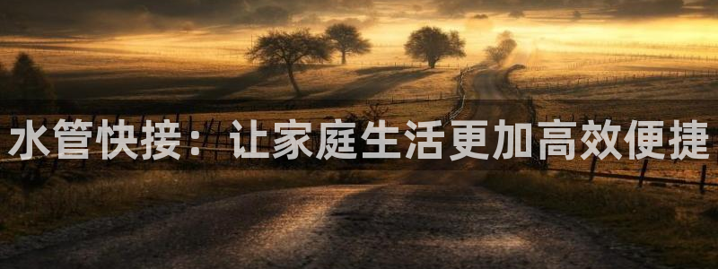 天辰娱乐481928