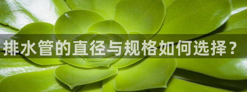 天辰娱乐官方