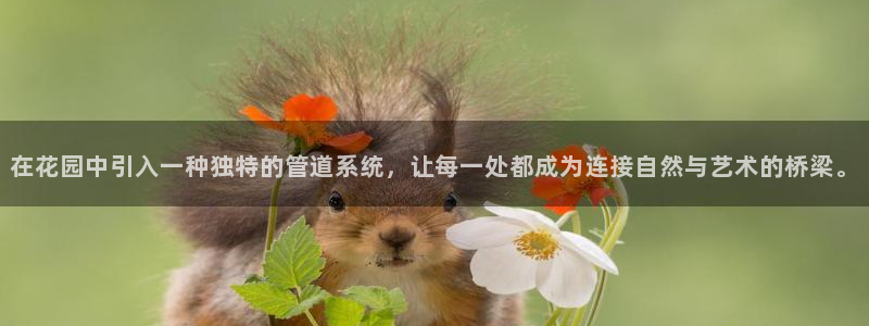 天辰娱乐481928